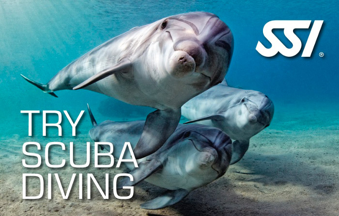 try-scuba-diving