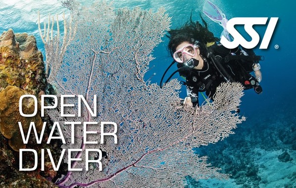 formation-open-water-diver